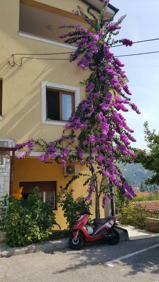 Apatmani Milena Appartement Opatija Buitenkant foto